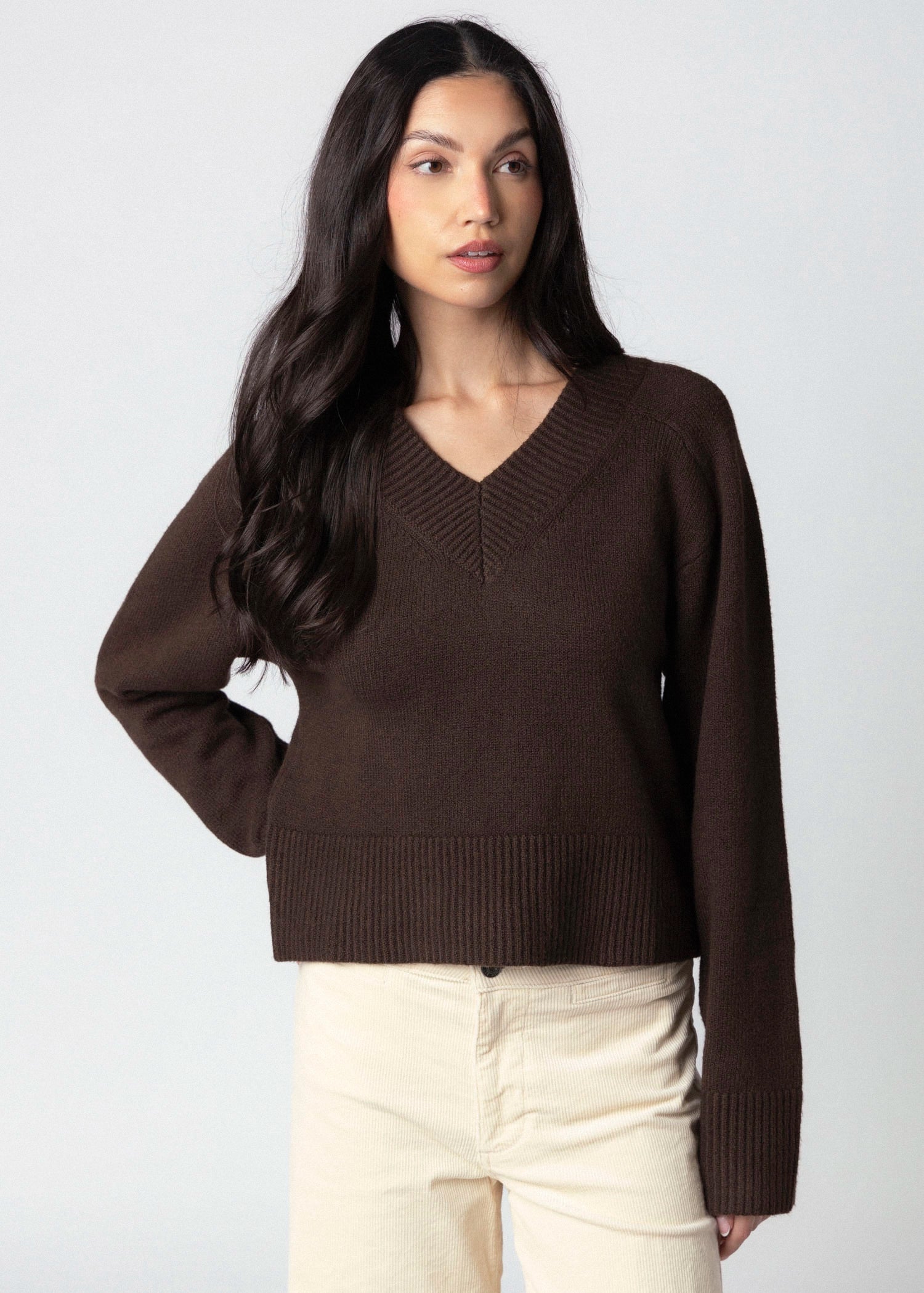 swatch_Espresso sanctuary vanna v-neck sweater
