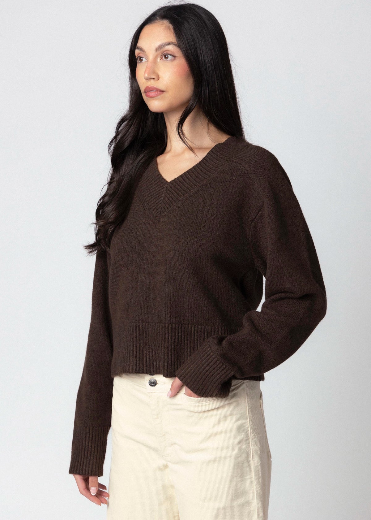 swatch_Espresso sanctuary vanna v-neck sweater