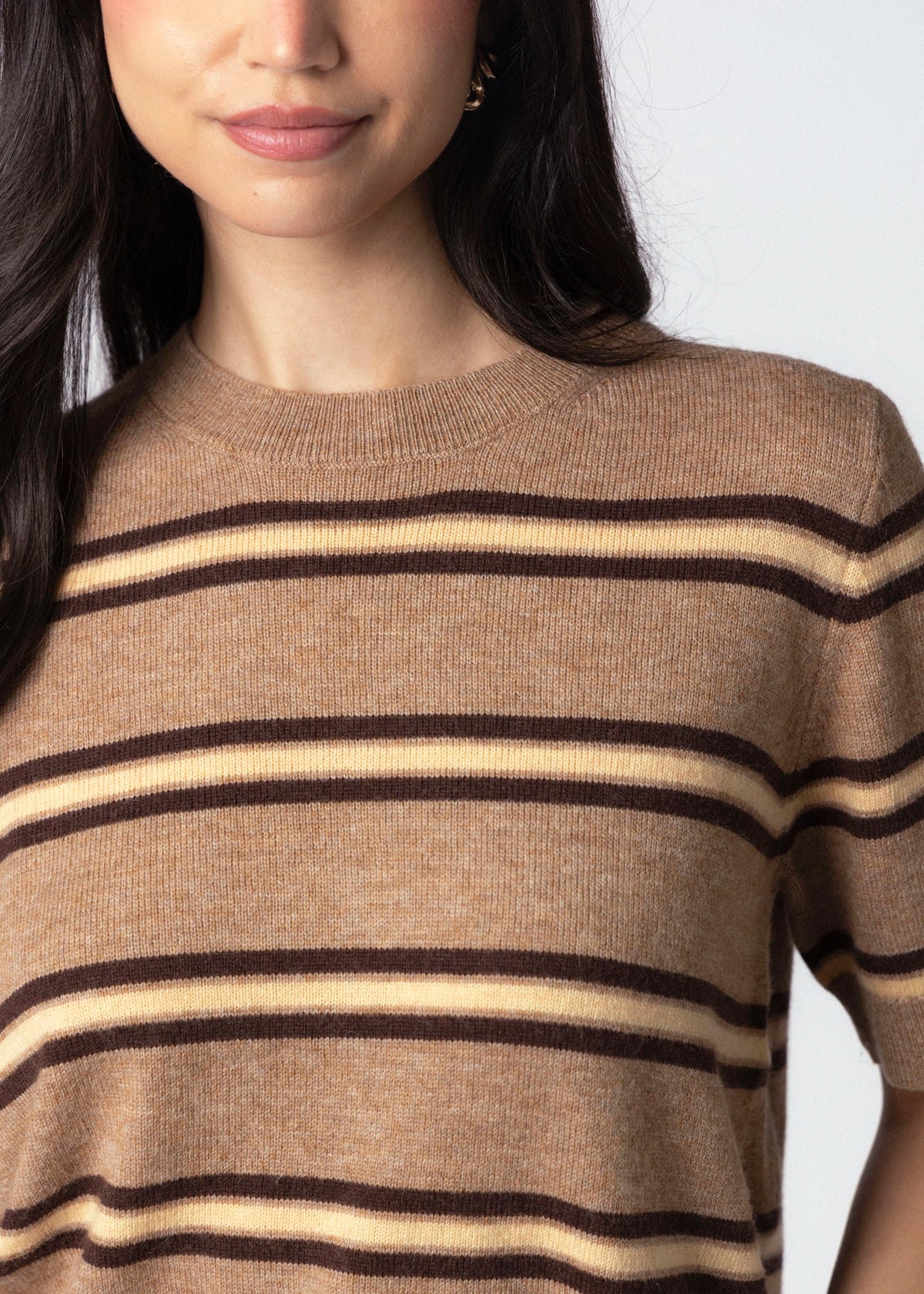 swatch_Stripe Latte short sleeve striped sweater