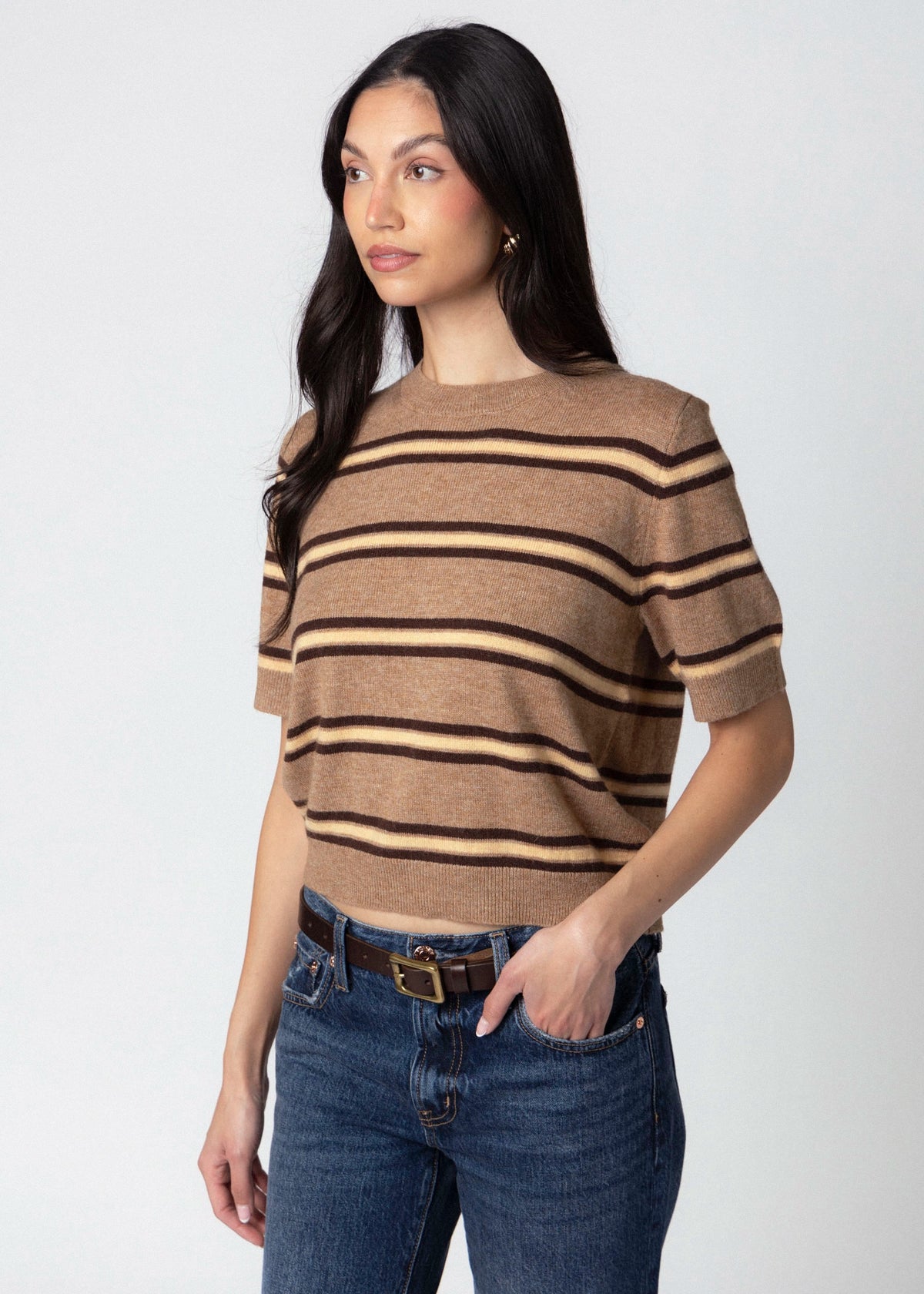 swatch_Stripe Latte short sleeve striped sweater