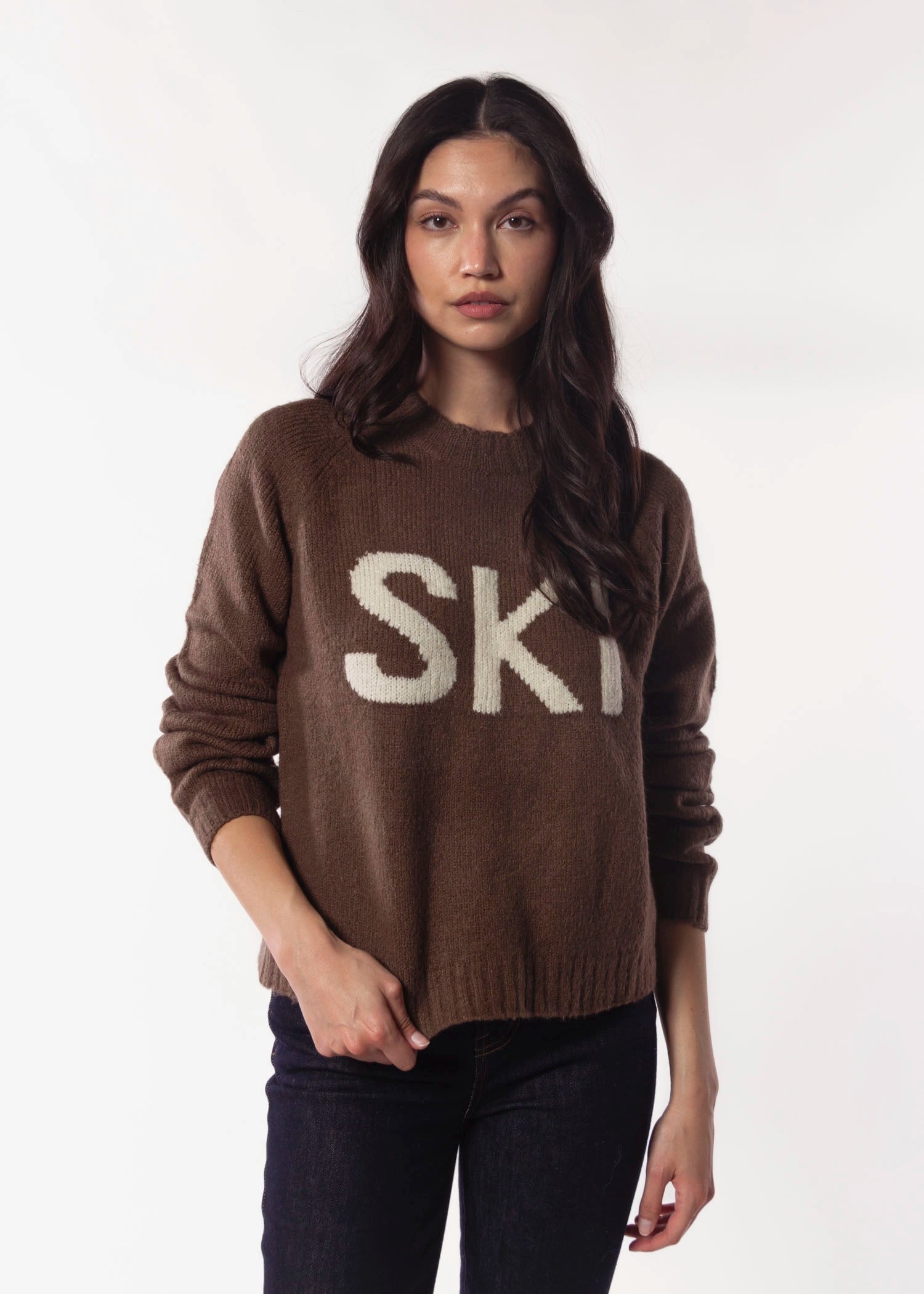 swatch_Sepia ski sweater