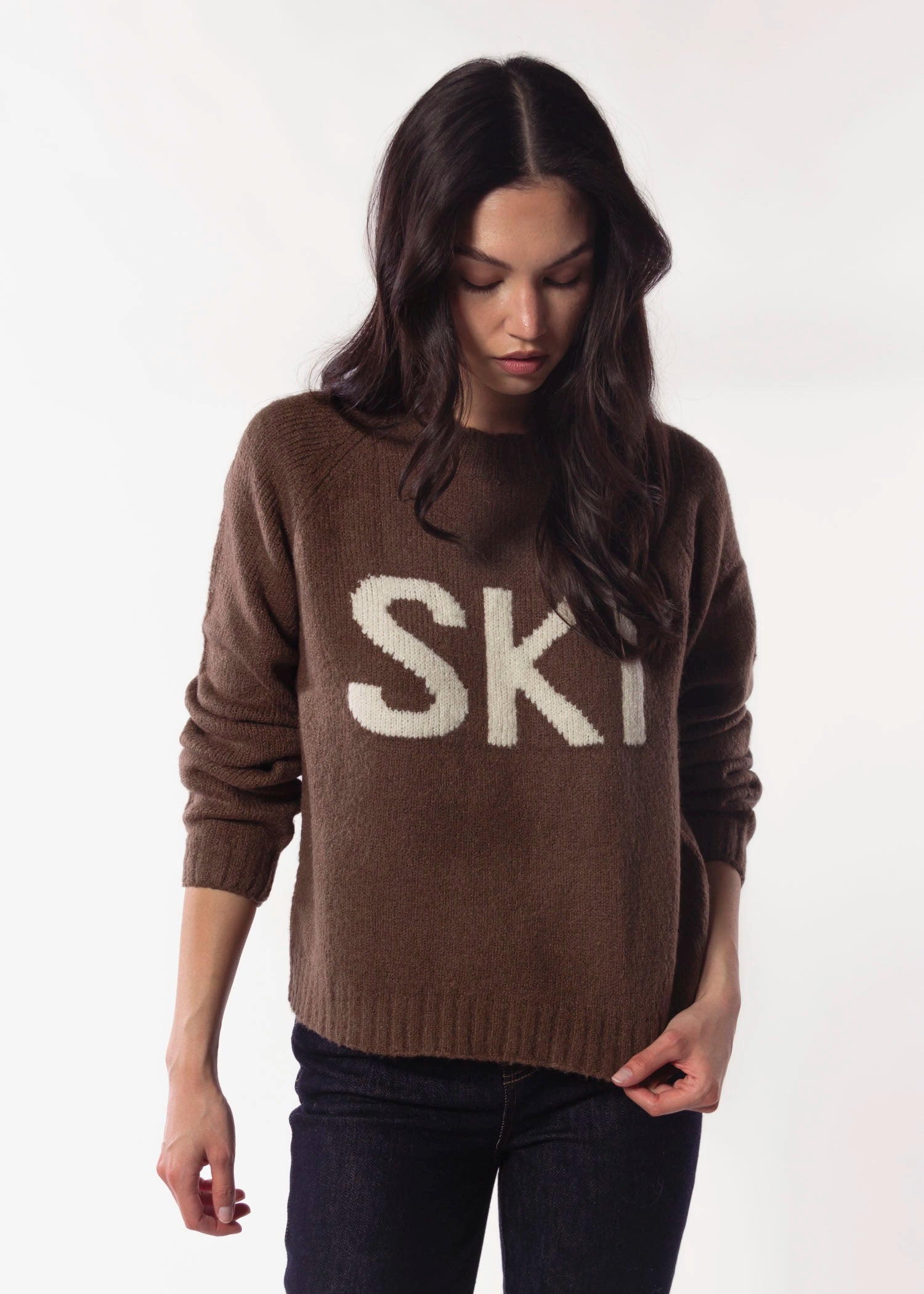 swatch_Sepia ski sweater