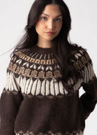 swatch_Brown rd style serafina fair isle sweater