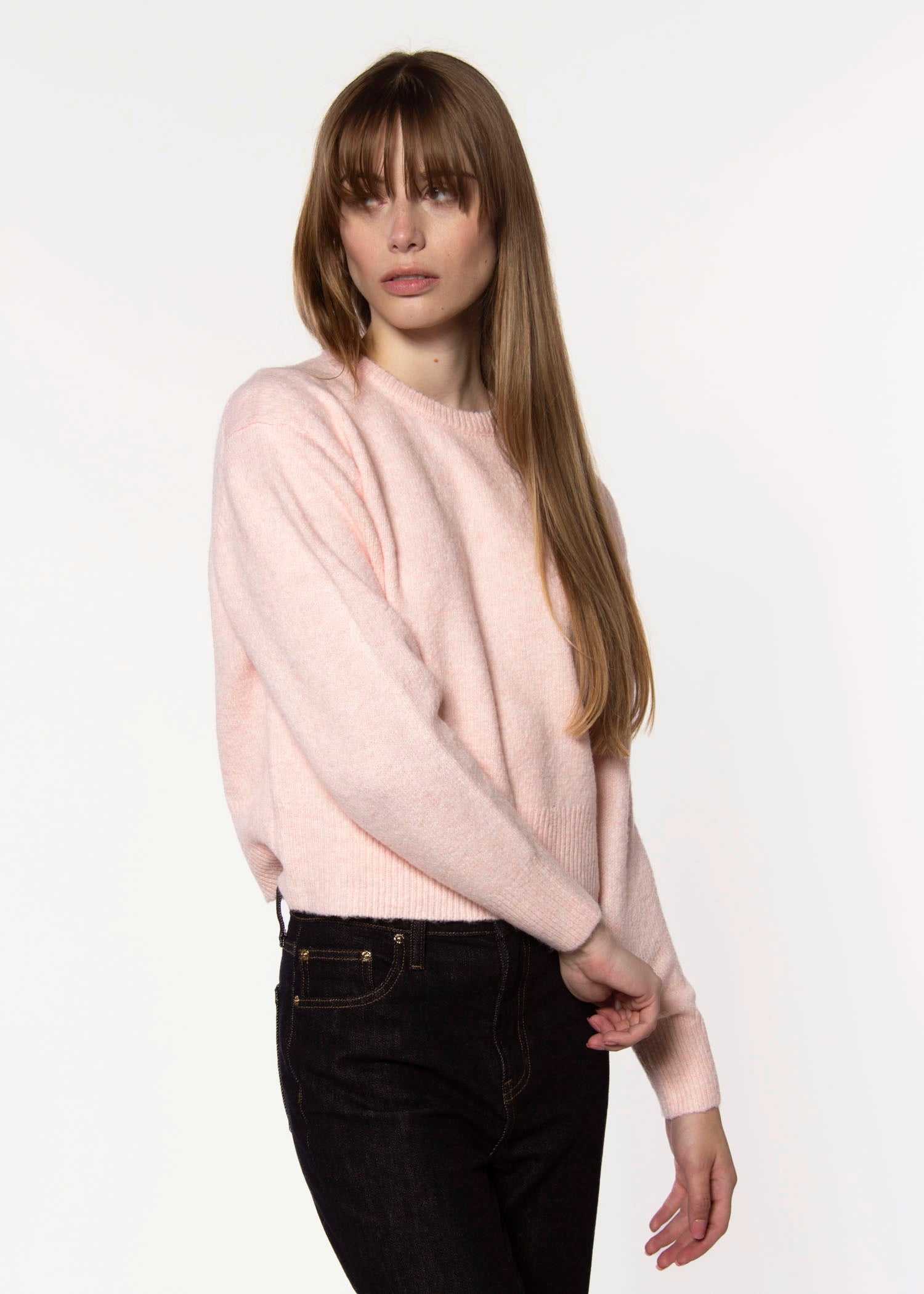 swatch_Ballerina wilfred sweater tops