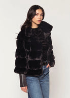 swatch_Black feline jacket coats