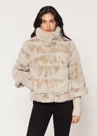 swatch_Birch feline jacket coats