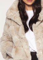 swatch_Birch feline jacket coats