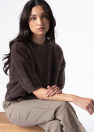 swatch_Chocolate fuzzy knit cropped sweater
