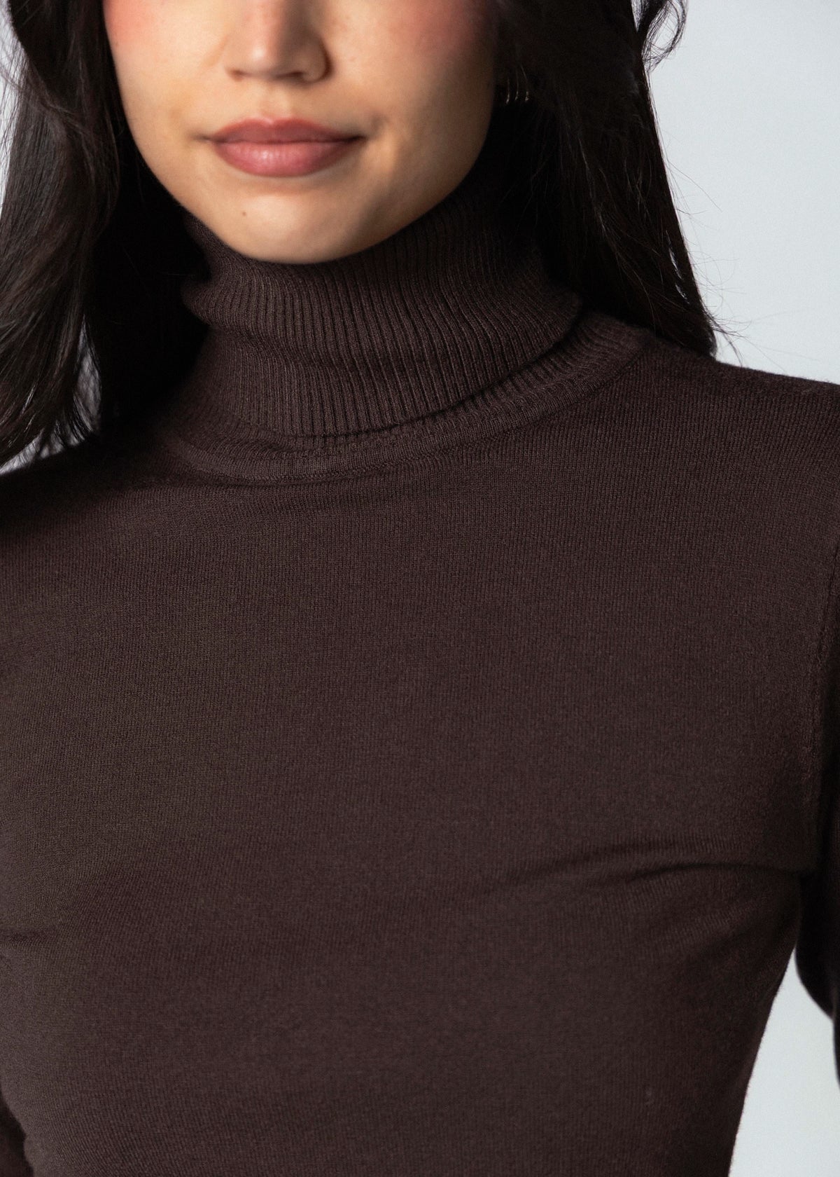 swatch_Chocolate deluc silene turtleneck sweater