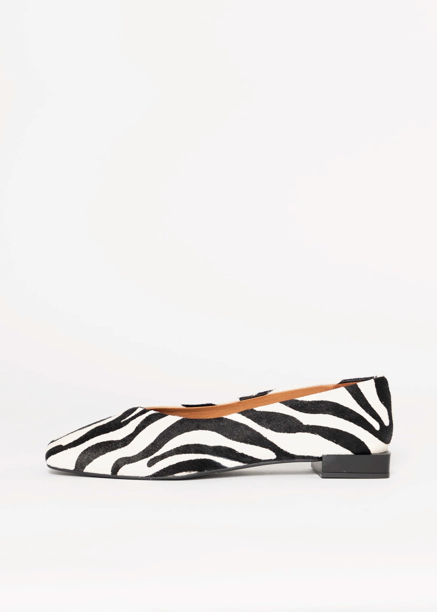 swatch_Zebra Haircalf angel alarcon tiyu flat