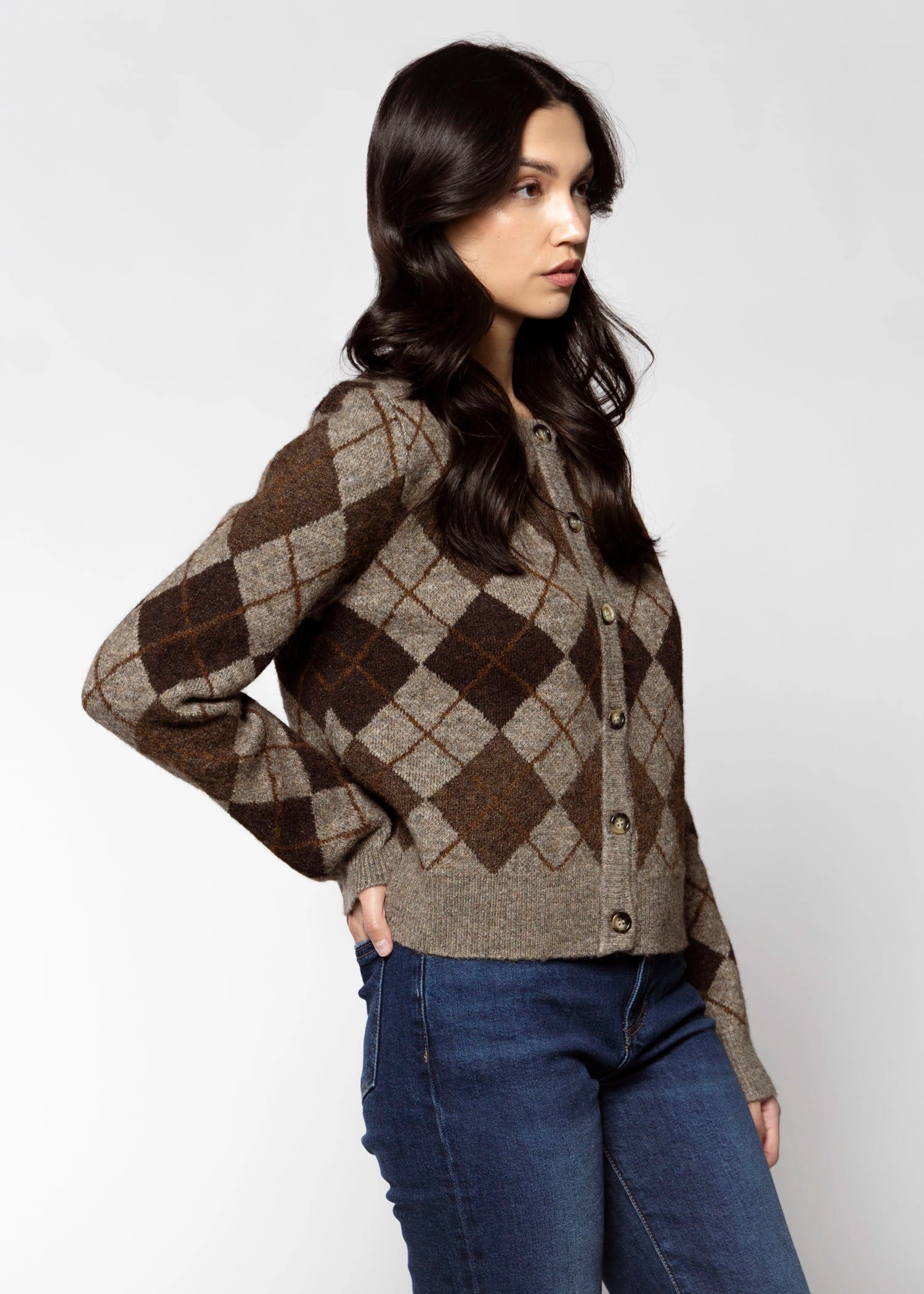 swatch_Chocolate/Grey argyle sweater cardigans