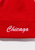 swatch_red chicago beanie accessories