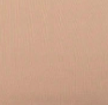 swatch_Almond rd style second skin perla cami