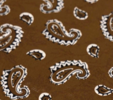 swatch_Army paisley bandana scarf