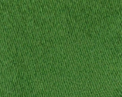 swatch_Avocado le bon shoppe breezy sneaker sock