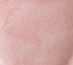 swatch_Baby Pink Suede tanya slingback pump jeffrey campbell