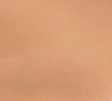 swatch_beige leather arissa ballet flat ballet flats