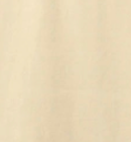 swatch_Beige a-line trench coat