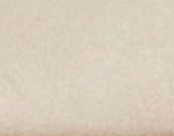 swatch_Beige cosmos jogger sneaker