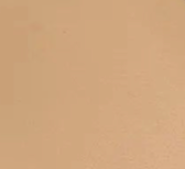 swatch_beige ella sandal flat sandals