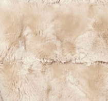 swatch_Birch feline jacket coats