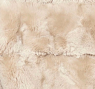 swatch_Birch feline jacket coats