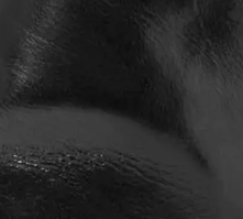 swatch_black round toe ankle boot ankle boots