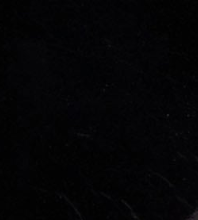 swatch_Black Leather angel alarcon claudia flip flop sandal