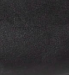 swatch_Black Leather dolce vita reyes ballet flat