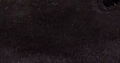 swatch_black suede boston shearling clog clogs