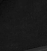 swatch_Black Suede steve madden playing wedge thong sandal