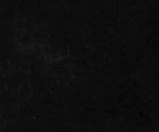 swatch_black suede lupin slingback pump heels