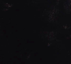 swatch_Black stip faux fur scarf