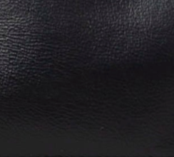 swatch_Black remi/reid ella mini tote