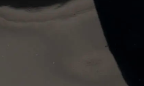 swatch_black gum drop jelly sandal flat sandals