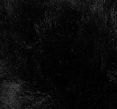 swatch_Black sheepskin earmuffs