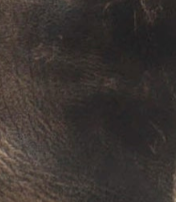 swatch_Black hervee distressed boot