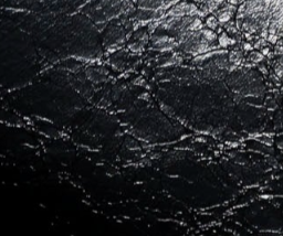 swatch_Black hollace tote handbags