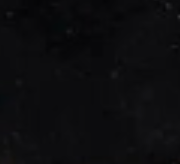 swatch_Black easter sneaker slide sneakers