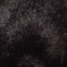 swatch_Black fuzzy balaclava