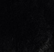 swatch_Black rino and pelle may faux fur vest