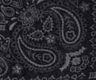 swatch_Black bandana scarf