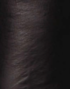 swatch_black elysse foiled leather pant apparel