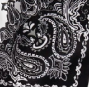 swatch_Black/White bandana head scarf