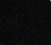 swatch_Black/White/Fuchsia elan sneaker gola