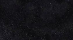 swatch_black earla sandal flat sandals