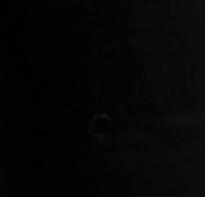 swatch_black erin wide leg pant apparel