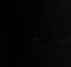 swatch_black erin wide leg pant apparel