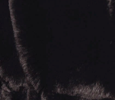 swatch_Black feline jacket coats