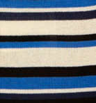 swatch_Blue Multi striped knit polo